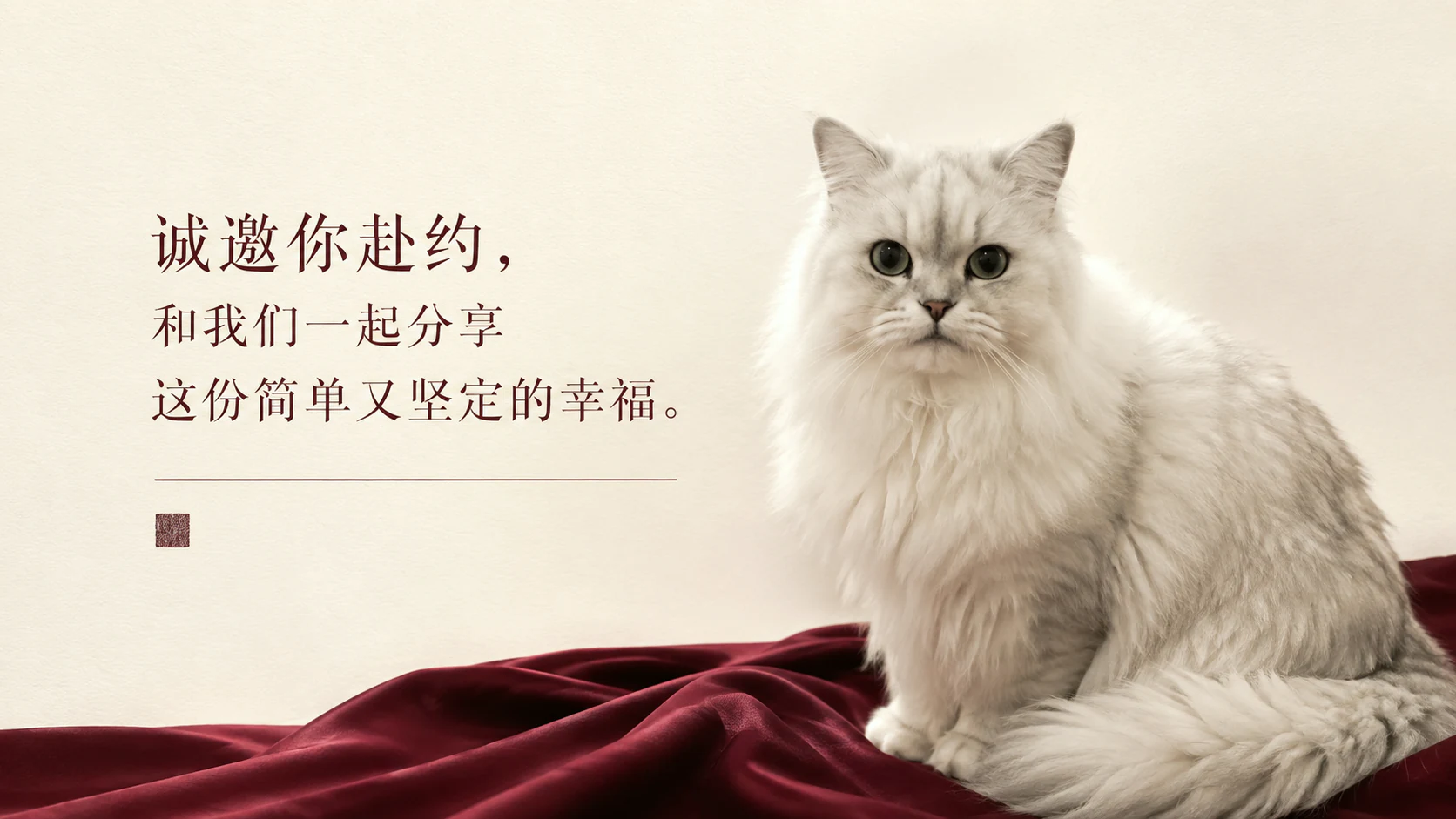 诚邀宾客赴约的婚礼猫咪照片